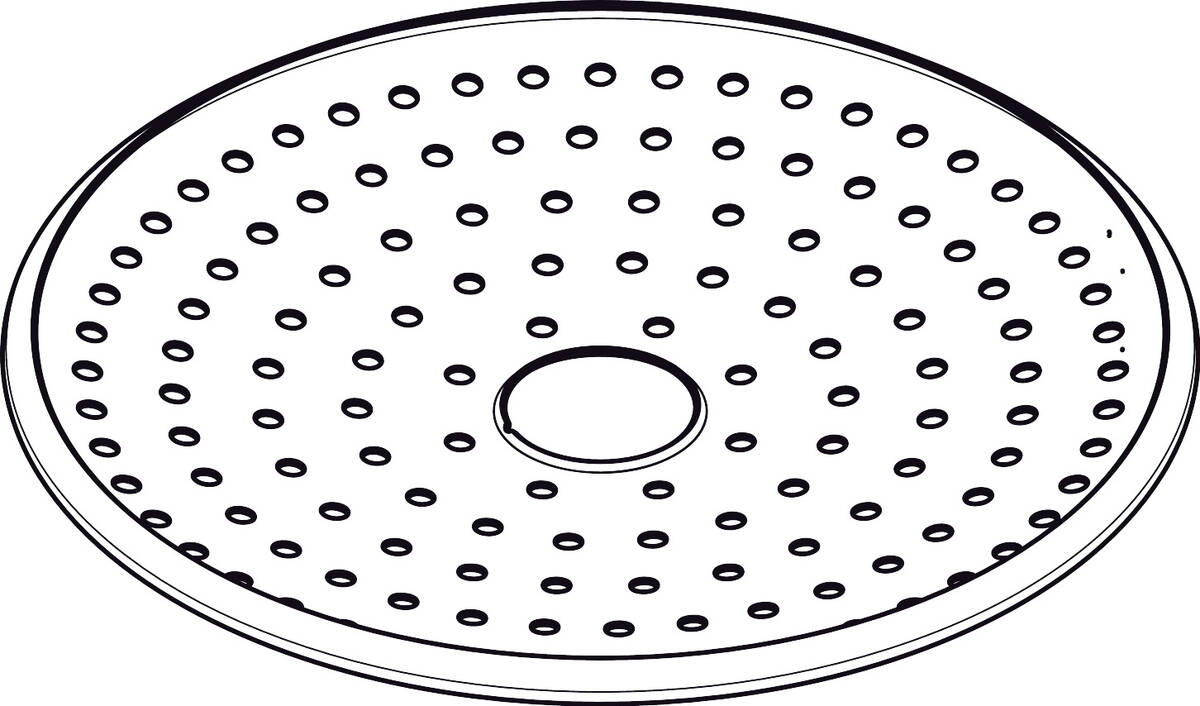 Bild von HANSGROHE Strahlscheibe kpl. #92192000