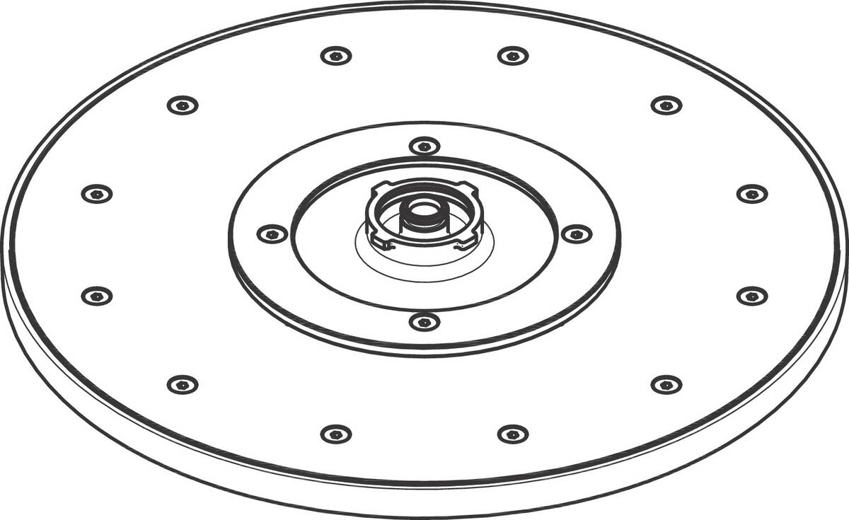 Bild von HANSGROHE Kopfbrause #93451330