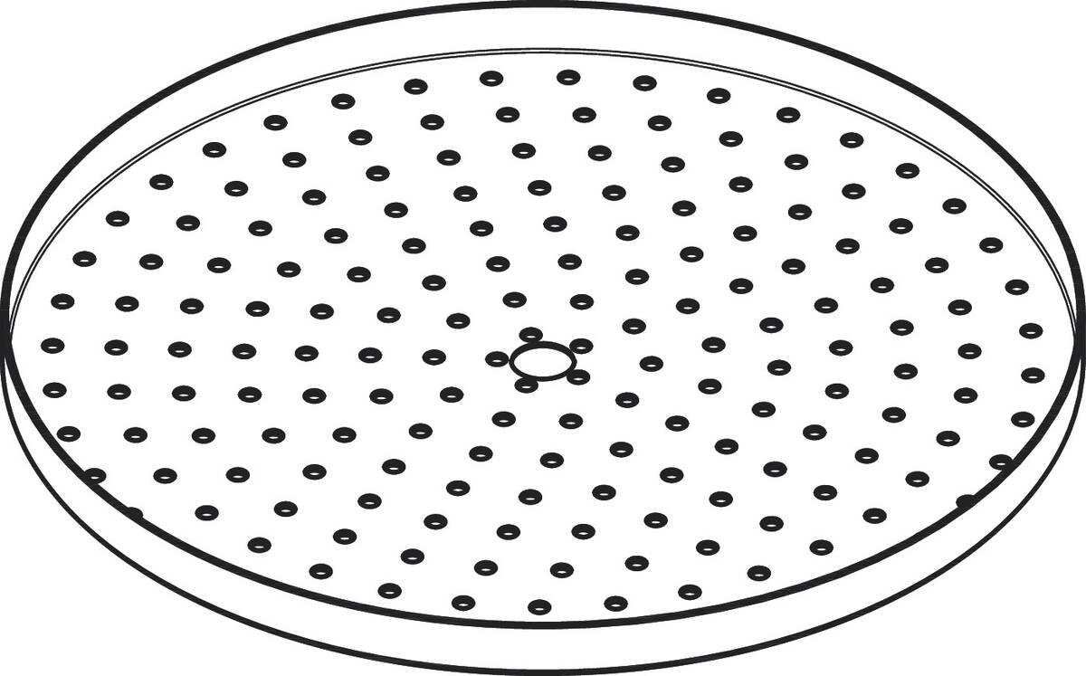 Bild von HANSGROHE Strahlscheibe kpl. #94589000