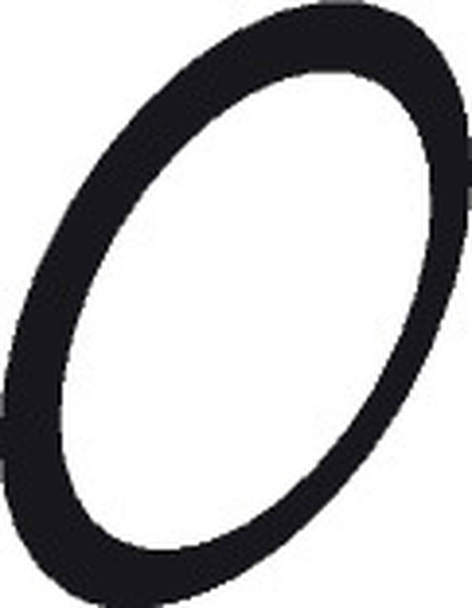 HANSGROHE Dichtung #97752000