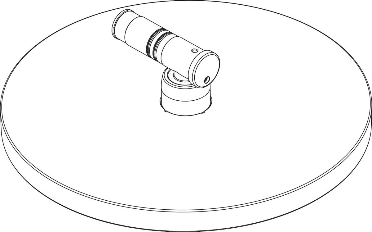 HANSGROHE Kopfbrause #98377000 - Chrom