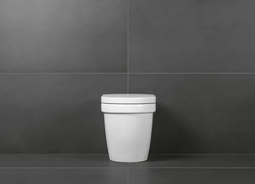 Obrázek VILLEROY BOCH Architectura umyvatelné WC bez ráfku, stojící na podlaze, bílé Alpine #5690R001