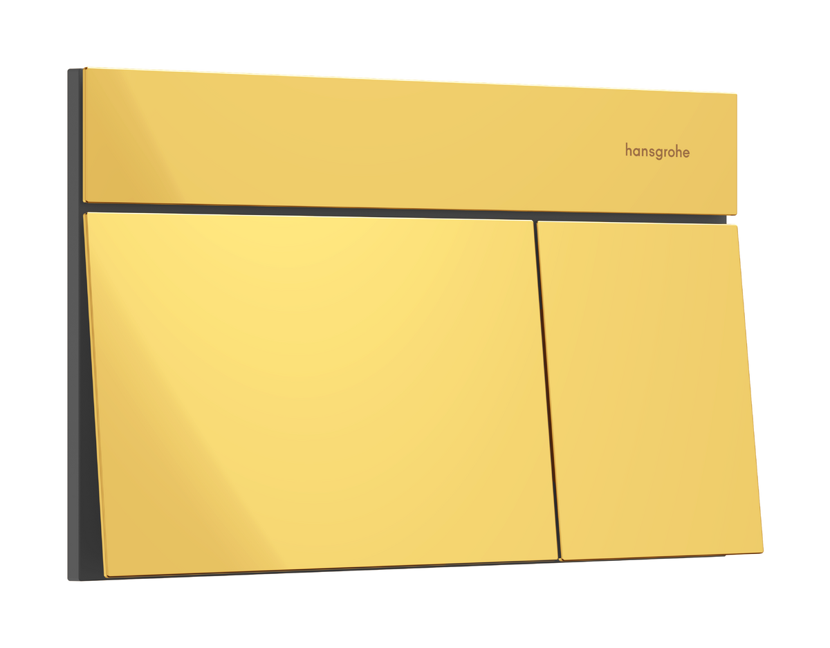 HANSGROHE iFrame Element E Betätigungsplatte für 2-Mengen-Spülung #66003990 - Polished Gold Optic