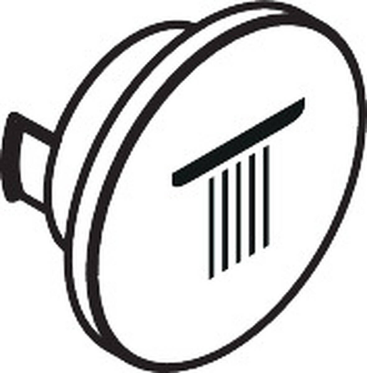 HANSGROHE Symbol Kopfbrause #93308990 - Polished Gold Optic