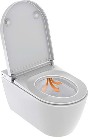 DURAVIT Compact Dusch-WC Pro 650002 Design by Philippe Starck #650002012004300 - Farbe 00 378 x 575 mm
