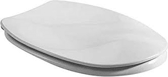 VILLEROY & BOCH COLANI WCSitz 99996101 weiss