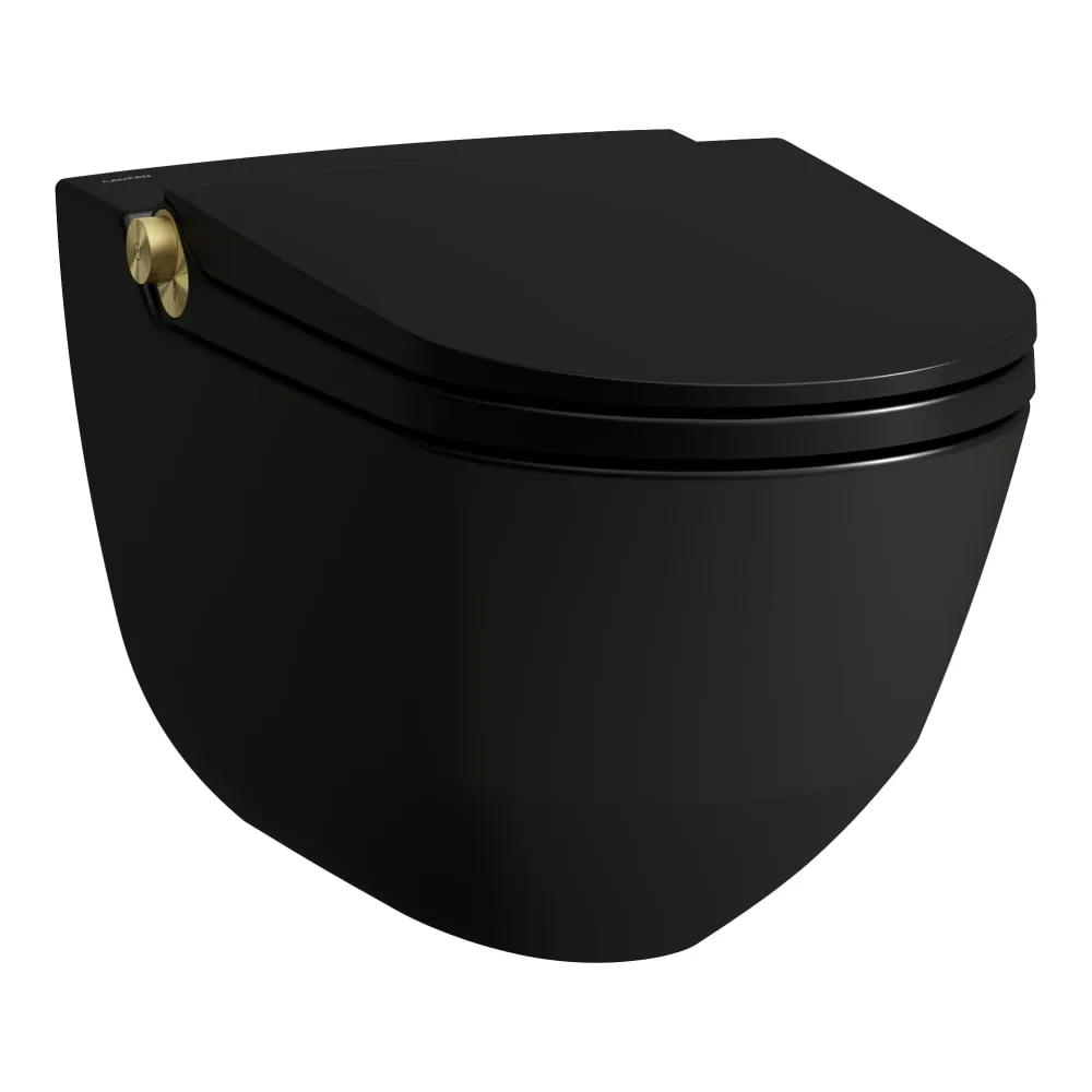 LAUFEN CLEANET RIVA Dusch-WC, wandhängend, Tiefspüler, ohne Spülrand, inkl. WC-Sitz mit Deckel, abnehmbar, mit Absenkautomatik, inkl. Fernbedienung mit Touchscreen 600 x 395 x 415 mm #H8206917180001 - 718 - Schwarz matt mit Blassgold matt