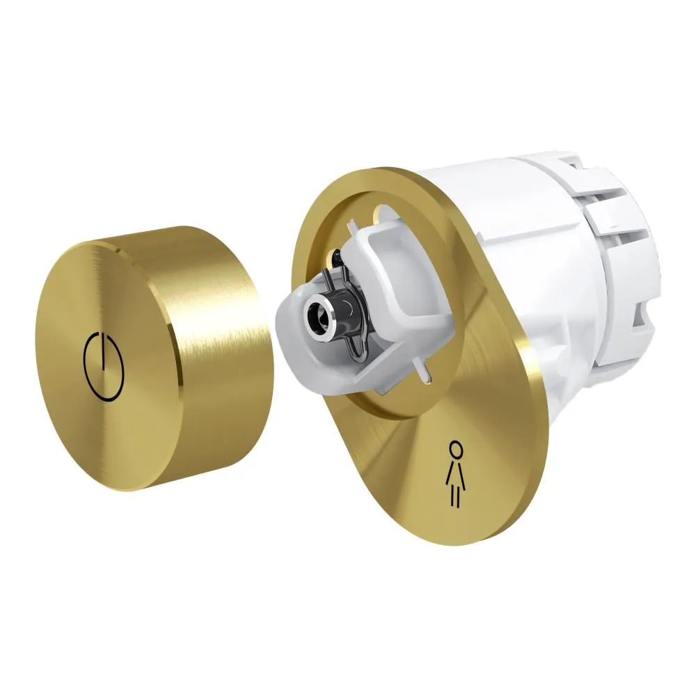 LAUFEN CLEANET RIVA Controller mit Drehknopf 36 x 36 x 14 mm #H8956981640001 - 164 - Gold poliert