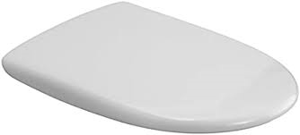 Picture of VILLEROY & BOCH HELIOS WC seat 88026101 white