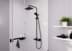 Bild von HANSGROHE Vernis Shape Showerpipe 230 1jet EcoSmart mit Thermostat #26097670 - Mattschwarz