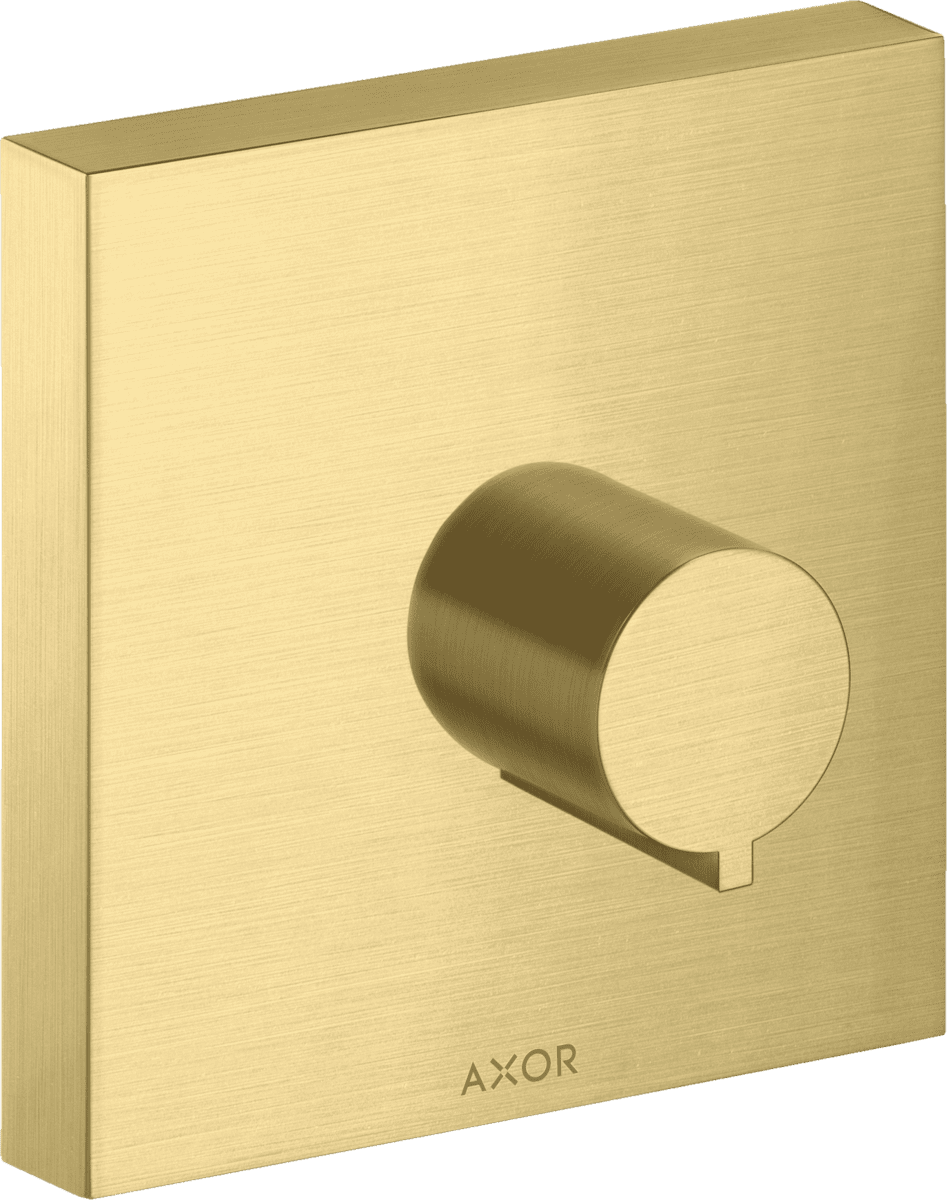 Obrázek HANSGROHE Uzavírací ventil AXOR ShowerSolutions 120/120 skrytý úhlový #10972950 - kartáčovaná mosaz