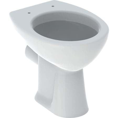 Picture of GEBERIT Renova floor-standing WC, horizontal flush #201000600 - white / KeraTect