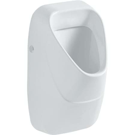 Picture of GEBERIT Alivio urinal with drain strainer, inlet from behind, outlet to rear or below #238000600 - white / KeraTect