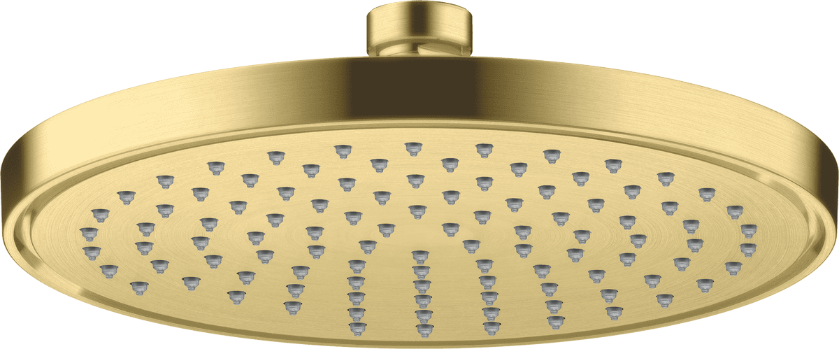 HANSGROHE AXOR ShowerSolutions Overhead shower 220 1jet #35382950 - Brushed Brass resmi