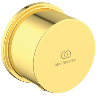 Picture of IDEAL STANDARD Idealrain round wall elbow, brushed gold #BC808A2 - Brushed Gold
