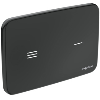 IDEAL STANDARD Altes Betätigungsplatte NT1 #R0130A6 - Schwarz