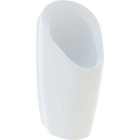 Picture of GEBERIT Preda urinal, waterless white #116.071.00.1