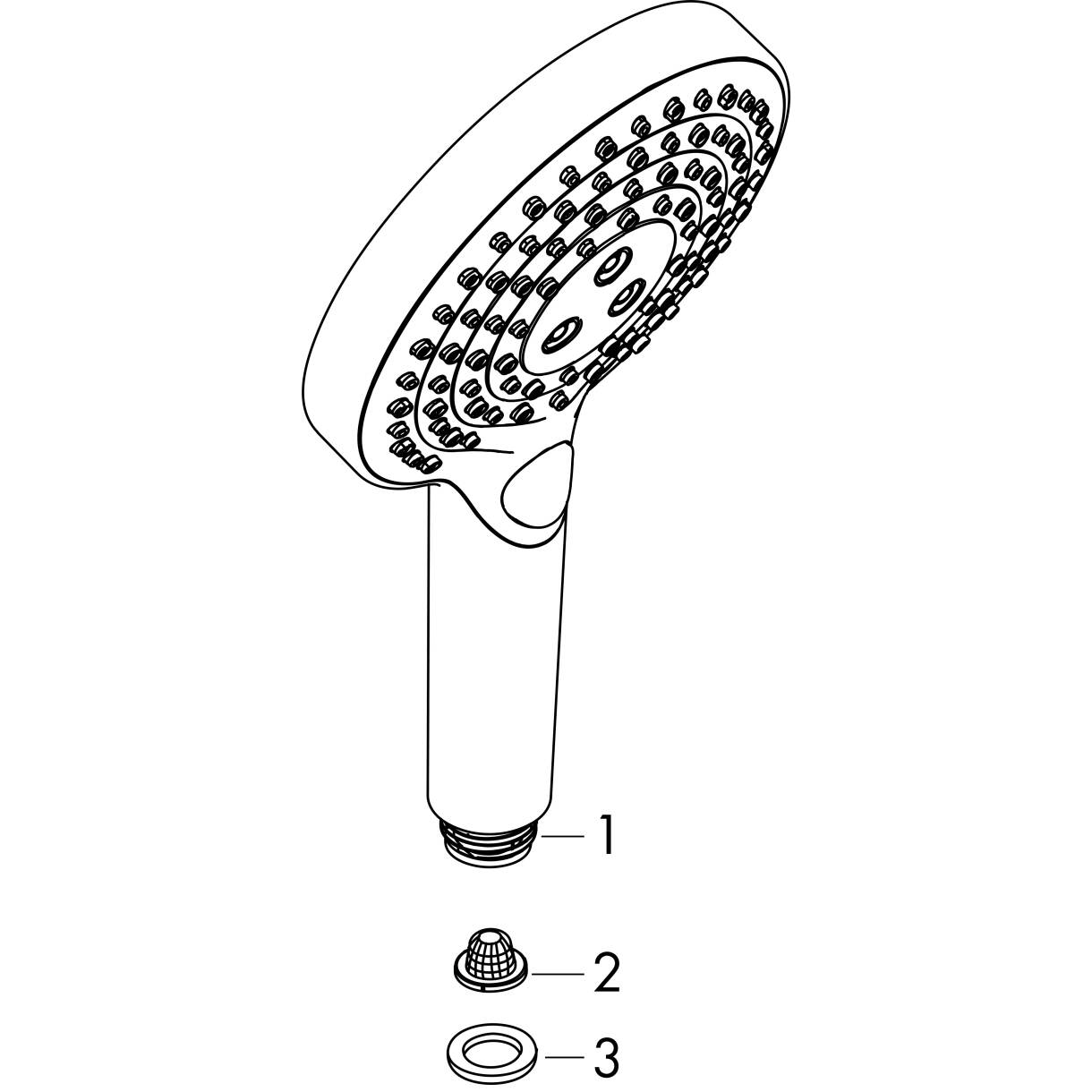 Picture of HANSGROHE Raindance Select S Hand shower 120 3jet PowderRain EcoSmart+ #26516000 - Chrome