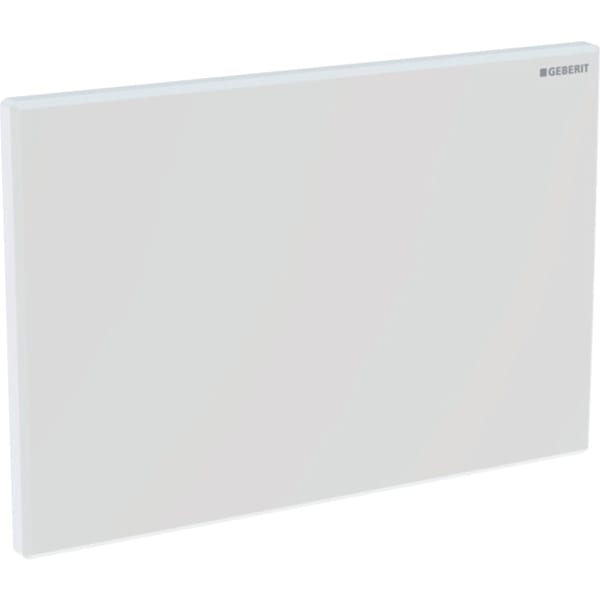 Picture of GEBERIT cover plate for hygienic flush #241.595.00.1 - Brushed stainless steel