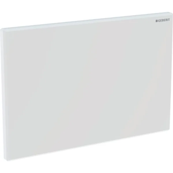 Picture of GEBERIT cover plate for hygienic flush #616.222.11.1 - white-alpine