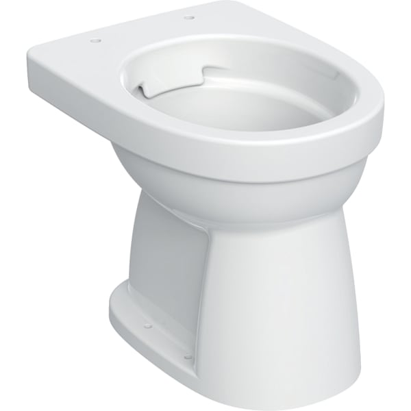 Picture of GEBERIT Renova floor-standing WC, vertical flush, Rimfree #501.985.00.8 - white / KeraTect
