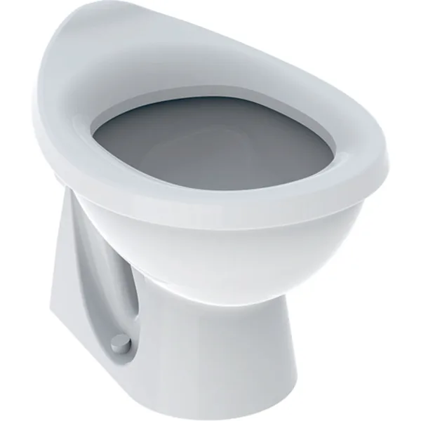Picture of GEBERIT Bambini floor-standing WC for babies and small children, washdown white #211650000