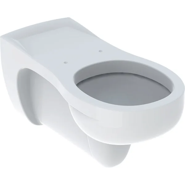 Picture of GEBERIT Vitalis wall-hung WC Washdown unit, extended projection, barrier-free #201500000 - white