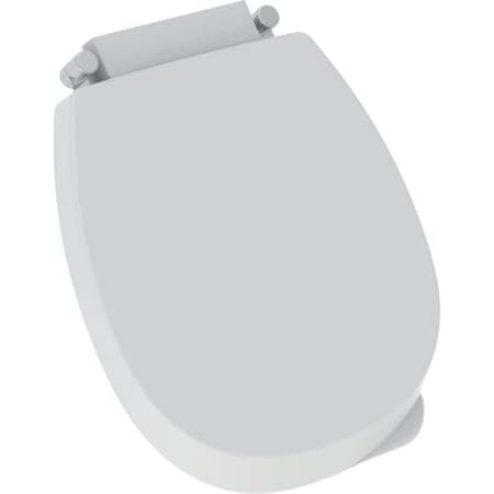 Picture of GEBERIT Corso urinal cover #573900000 - white
