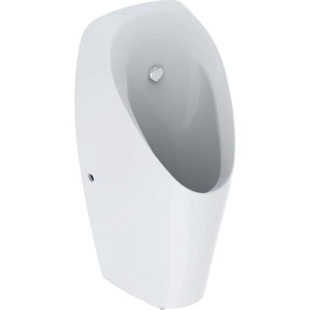 Picture of GEBERIT Tamina urinal with integrated control, battery operation #116.143.00.1 - white