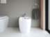 Bild von DURAVIT Betätigungsplatte mechanisch für WC A1 WD5001 Design by Duravit #WD5001031000 - Farbe 03 217 x 10 mm