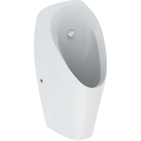 Picture of GEBERIT Tamina urinal for concealed control #116.140.00.1 - white