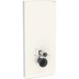 Bild von 131.031.SJ.6 Geberit Monolith sanitary module for wall-hung WC, 114 cm, front cladding made of glass