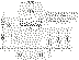 Bild von DURAVIT SensoWash® Classic Dusch-WC-Sitz für ME by Starck, Starck 2, Starck 3, Bento und Darling New* #613000 Design by Philippe Starck Farbe 01, 220-240V 50/60Hz, Absicherung nach EN 1717 integriert, mit verdeckten Anschlüssen, Entkalkungsfunktion und -tabletten inklusive 613000012004300