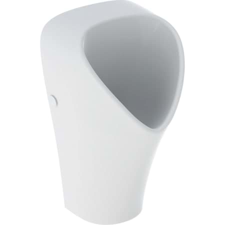 Picture of GEBERIT Narva waterless urinal, rear or bottom outlet #501.657.00.8 - white / KeraTect